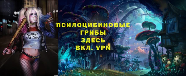 мет Арсеньев