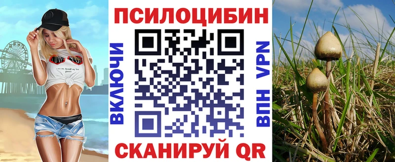 Псилоцибиновые грибы MAGIC MUSHROOMS  Купить где  Узловая 
