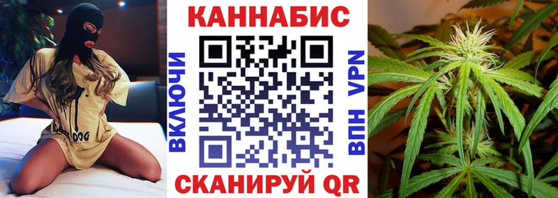 Конопля гибрид Узловая